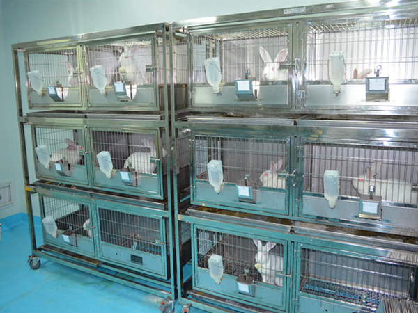 實(shí)驗(yàn)室動物房臭氣處理方法